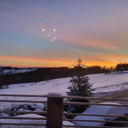Glamping Gliczarow Klapnioki Bed & Breakfast Leśnica Dış mekan fotoğraf