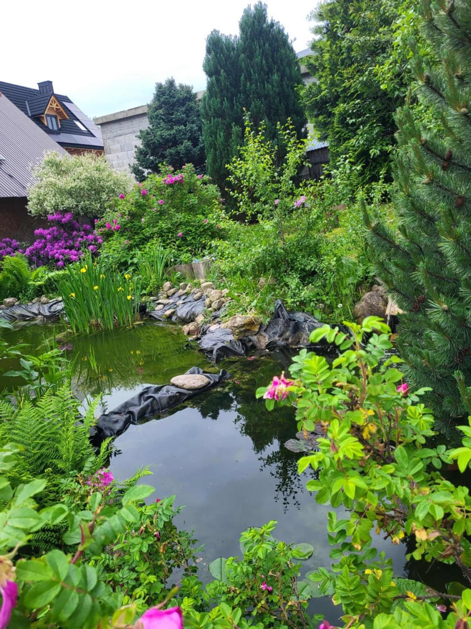 Glamping Gliczarow Klapnioki Bed & Breakfast Leśnica Dış mekan fotoğraf
